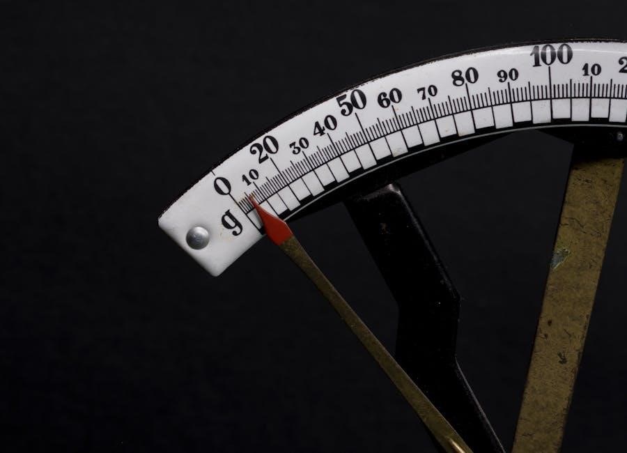 weight watchers scale instructions