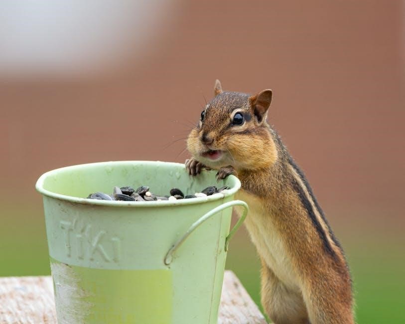 eric carle the tiny seed pdf