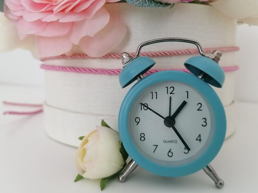 anjank alarm clock manual